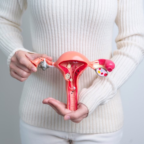 Pelvic organ prolapse – is self-management an option? image