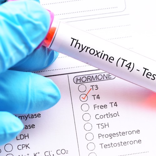 Doctor, can you prescribe a specific brand of thyroxine for me? image