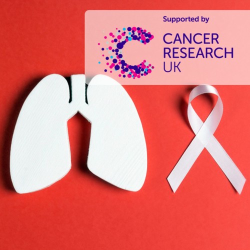 Webinar Image