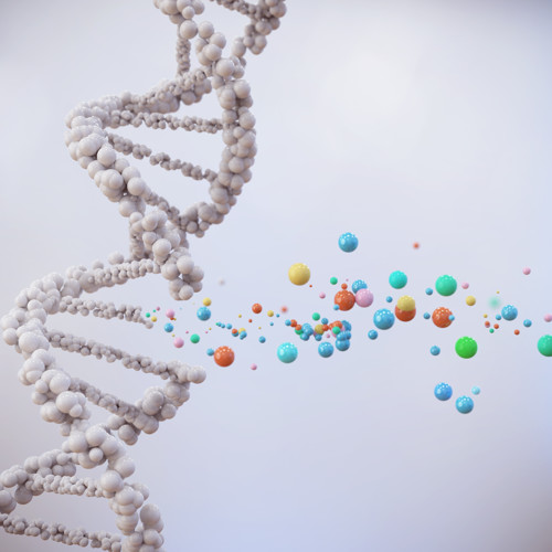 Webinar Image
